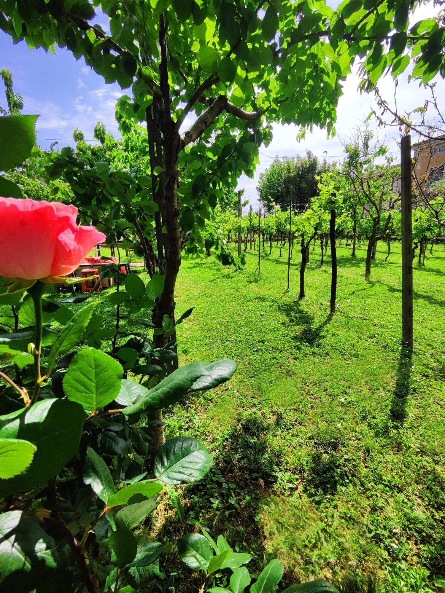 Garda Relais Antica Romelia Bed & Breakfast Montichiari Bagian luar foto