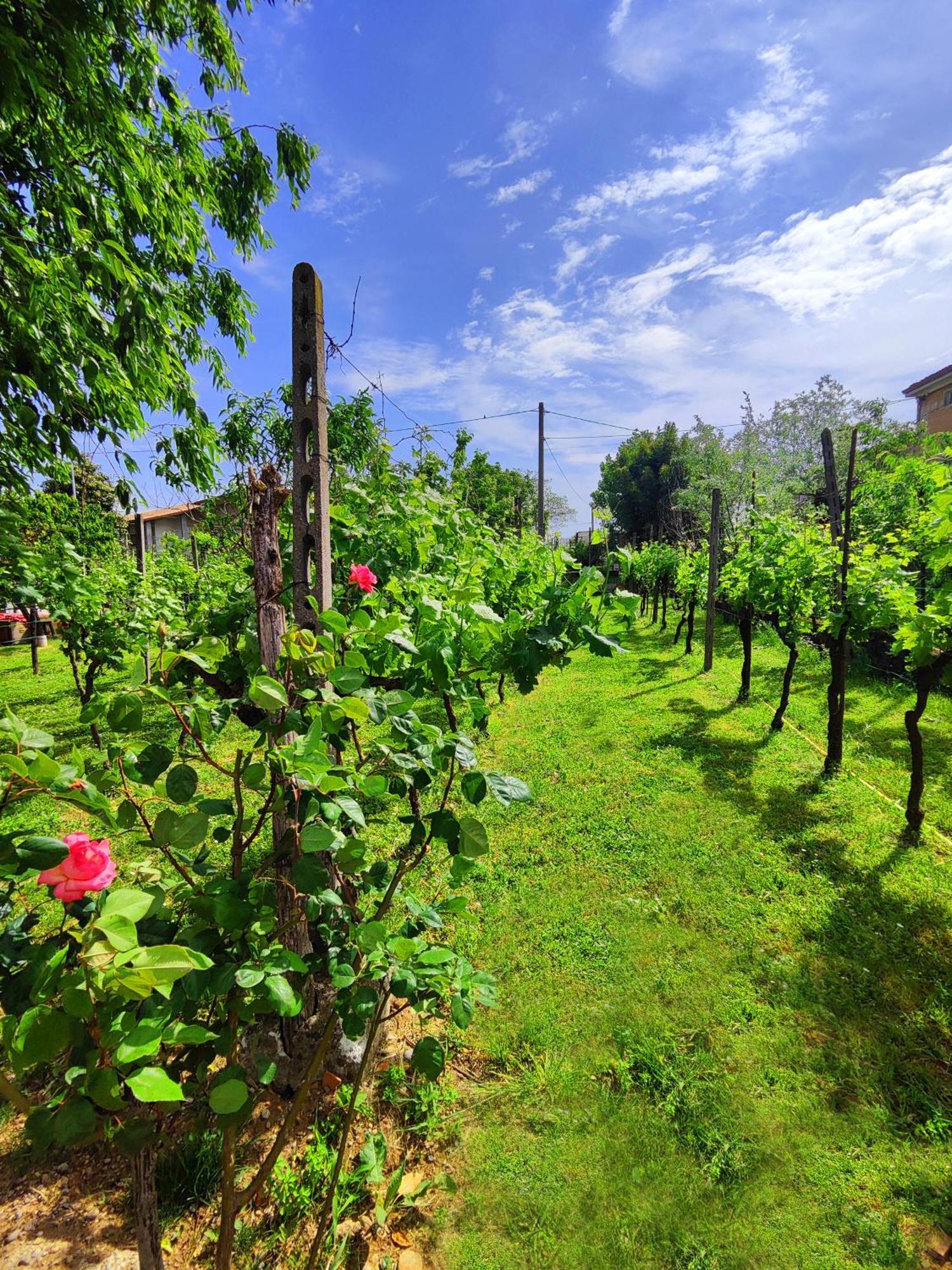 Garda Relais Antica Romelia Bed & Breakfast Montichiari Bagian luar foto