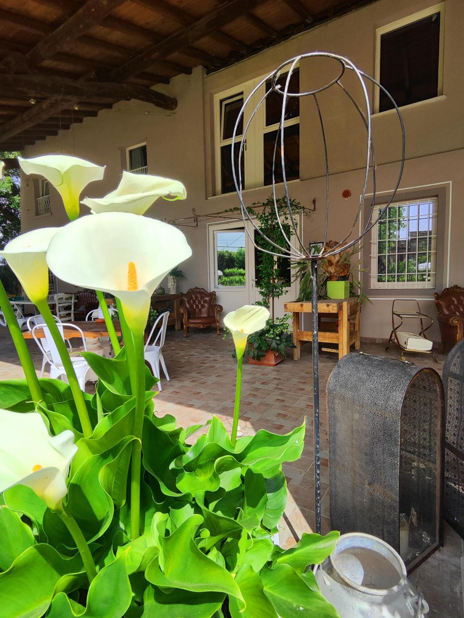 Garda Relais Antica Romelia Bed & Breakfast Montichiari Bagian luar foto